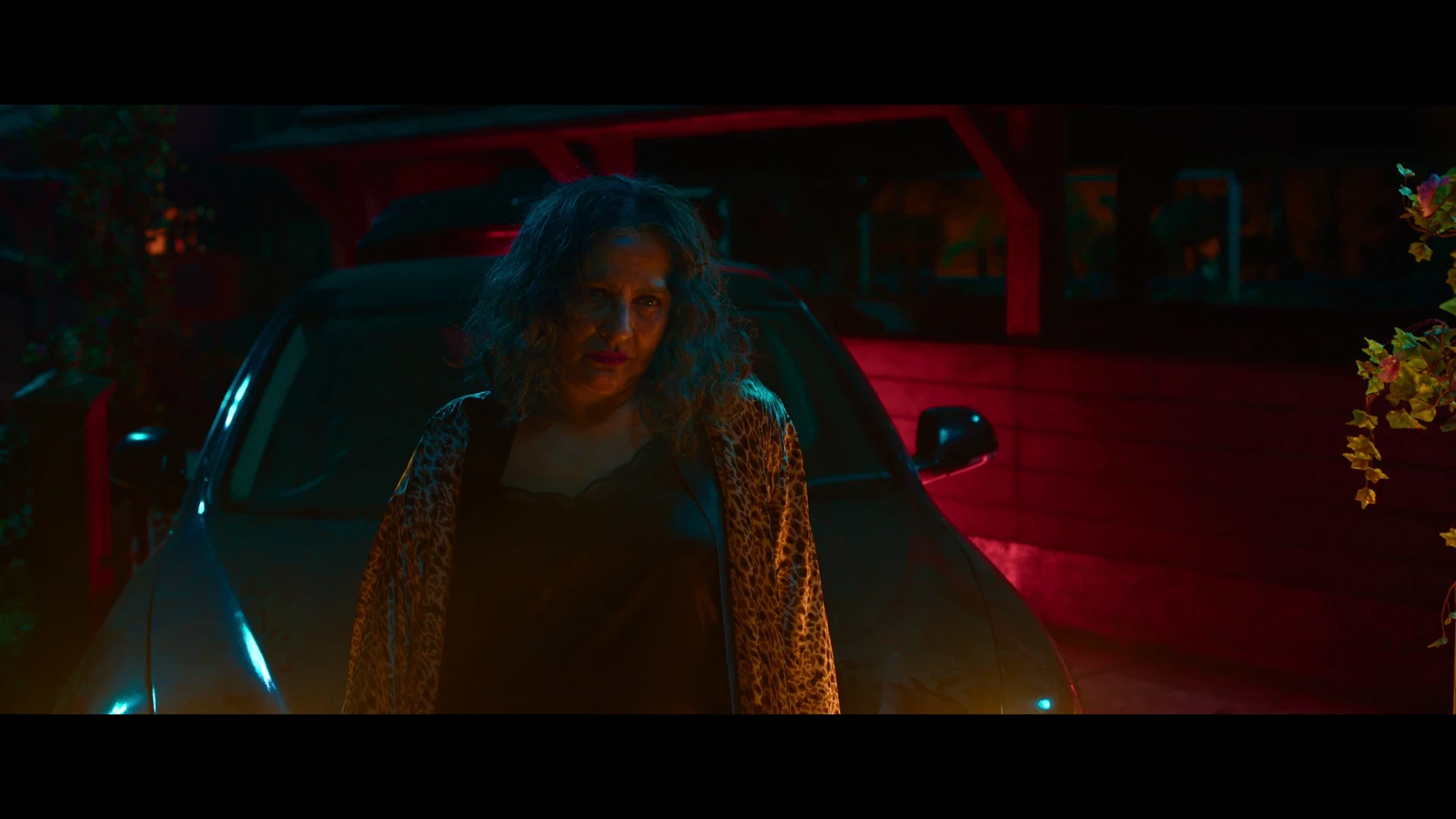 Toaster 2026 Hindi Audio WEB-DL 720p - 480p - 1080p - 2160p screenshot 6