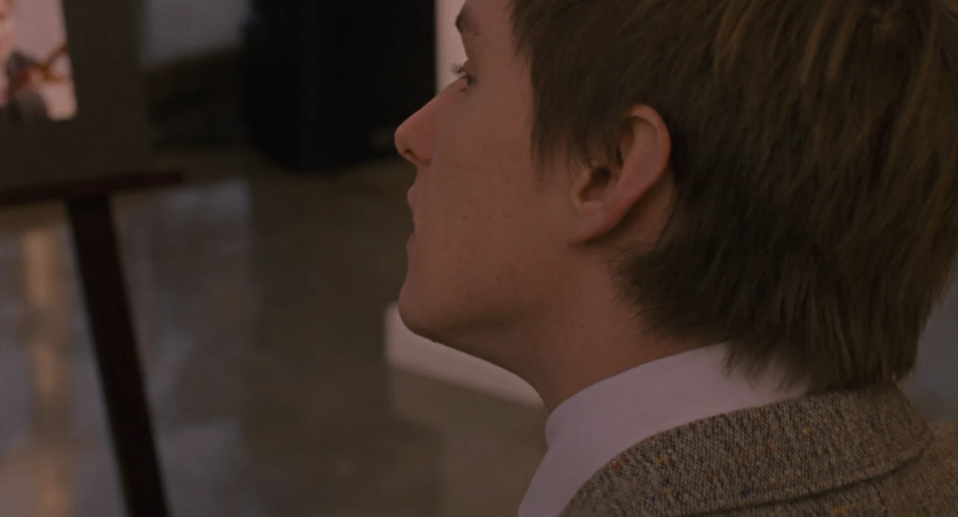 Restless 2011 Hindi Dual Audio WEB-DL 720p - 480p - 1080p screenshot 4