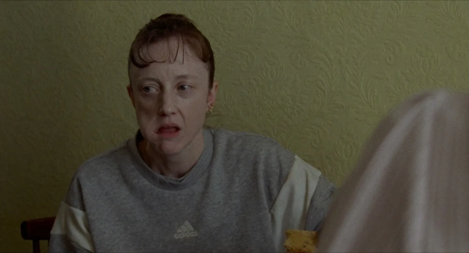 Dragonfly 2025 English Hindi Dual Audio WEB-DL 720p - 480p - 1080p screenshot 4