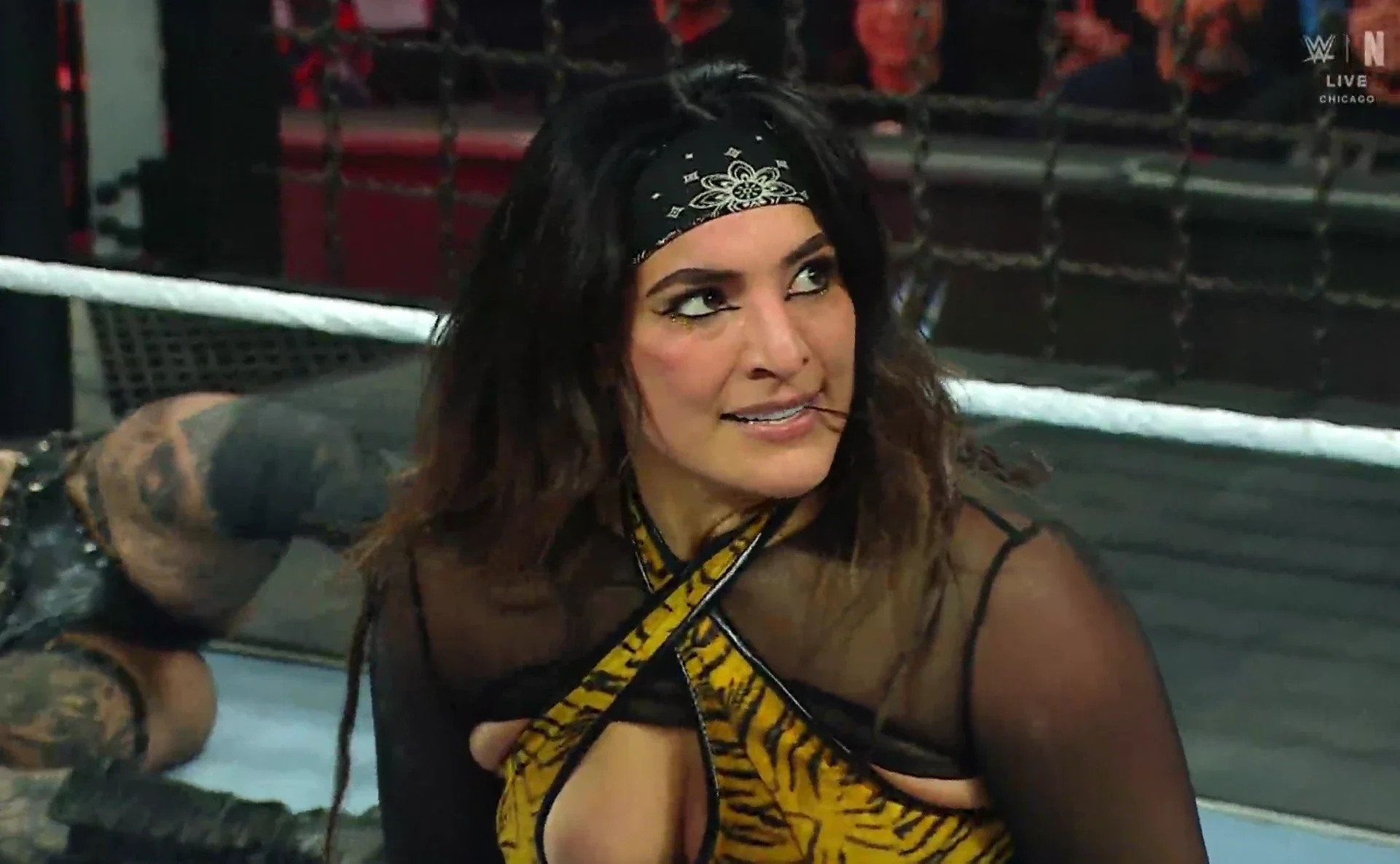 WWE Elimination Chamber 2026 Hindi Dual Audio WEB-DL 720p - 480p - 1080p screenshot 2