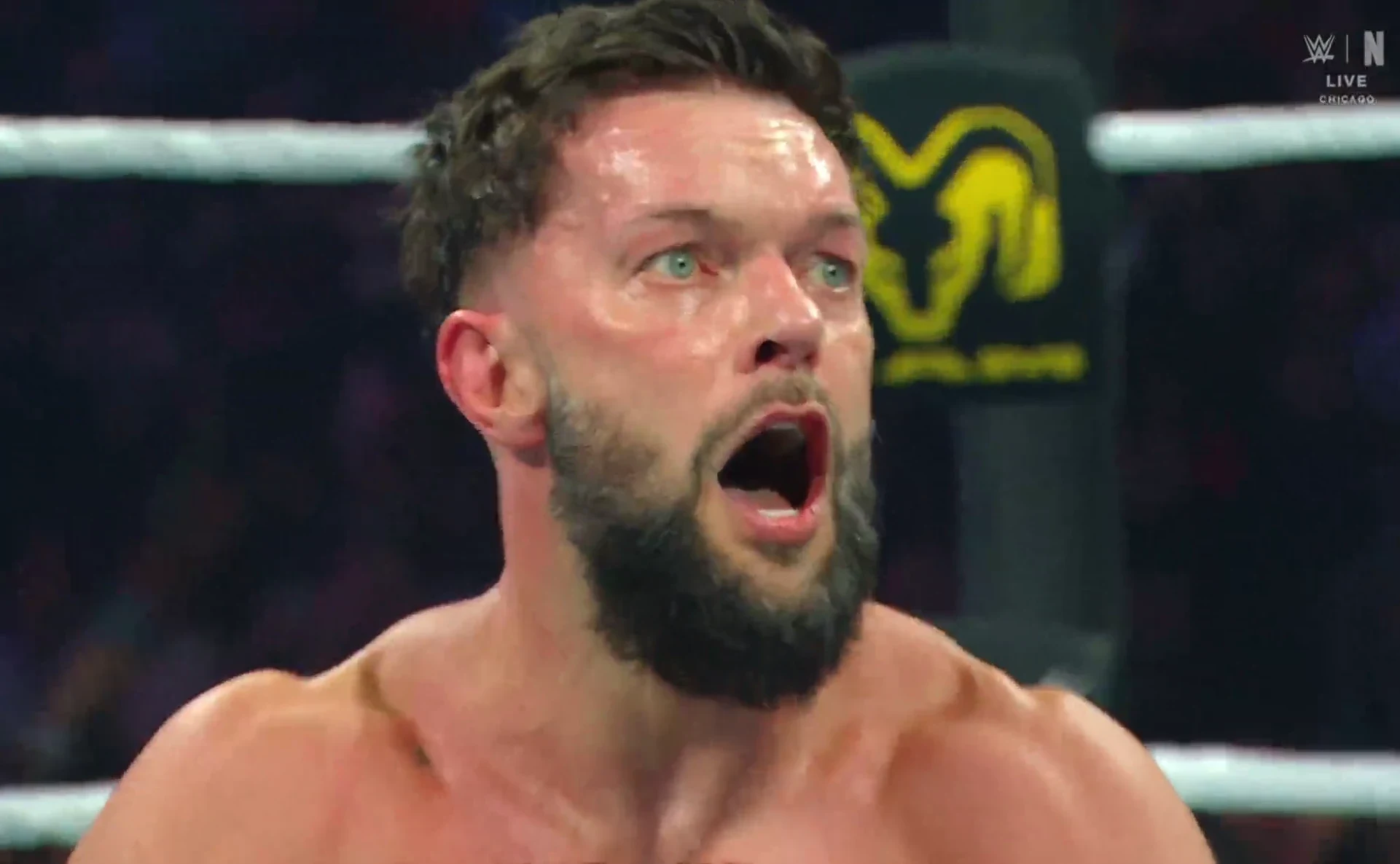 WWE Elimination Chamber 2026 Hindi Dual Audio WEB-DL 720p - 480p - 1080p screenshot 4