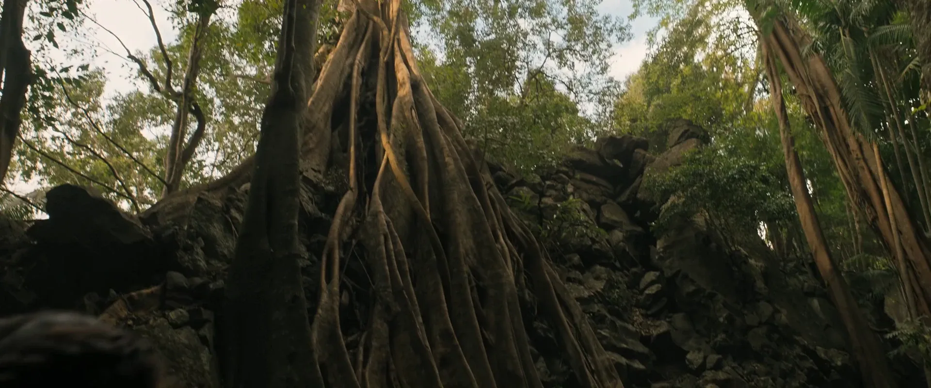 The Bluff 2026 Hindi Dual Audio WEB-DL 720p - 480p - 1080p screenshot 3