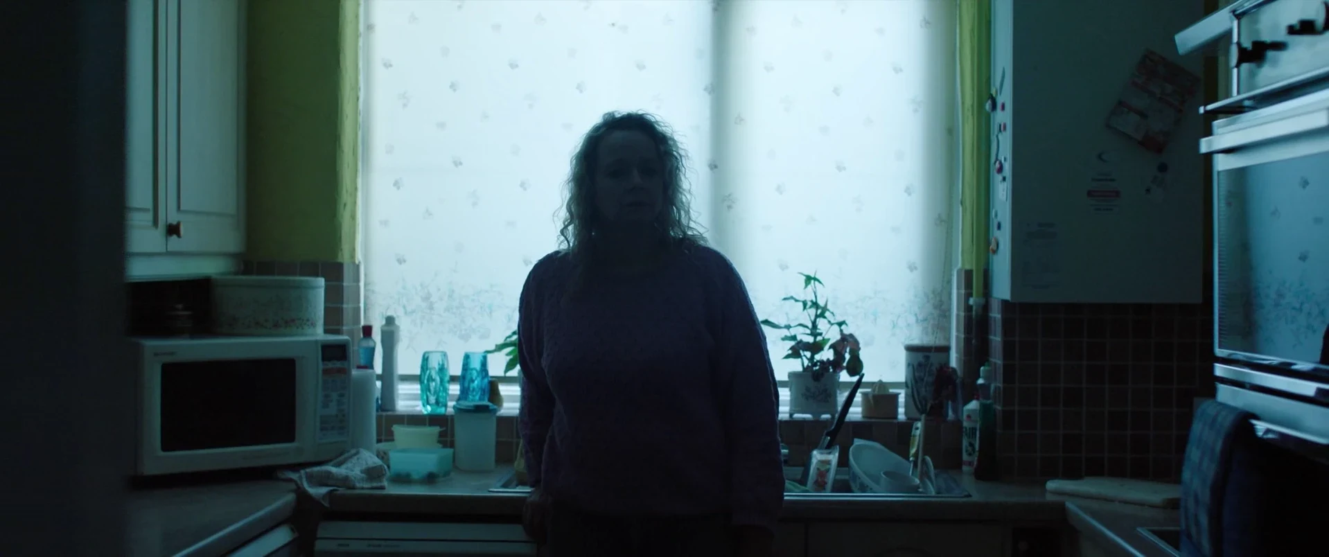 Anemone 2025 Hindi Dual Audio WEB-DL 720p - 480p - 1080p screenshot 1