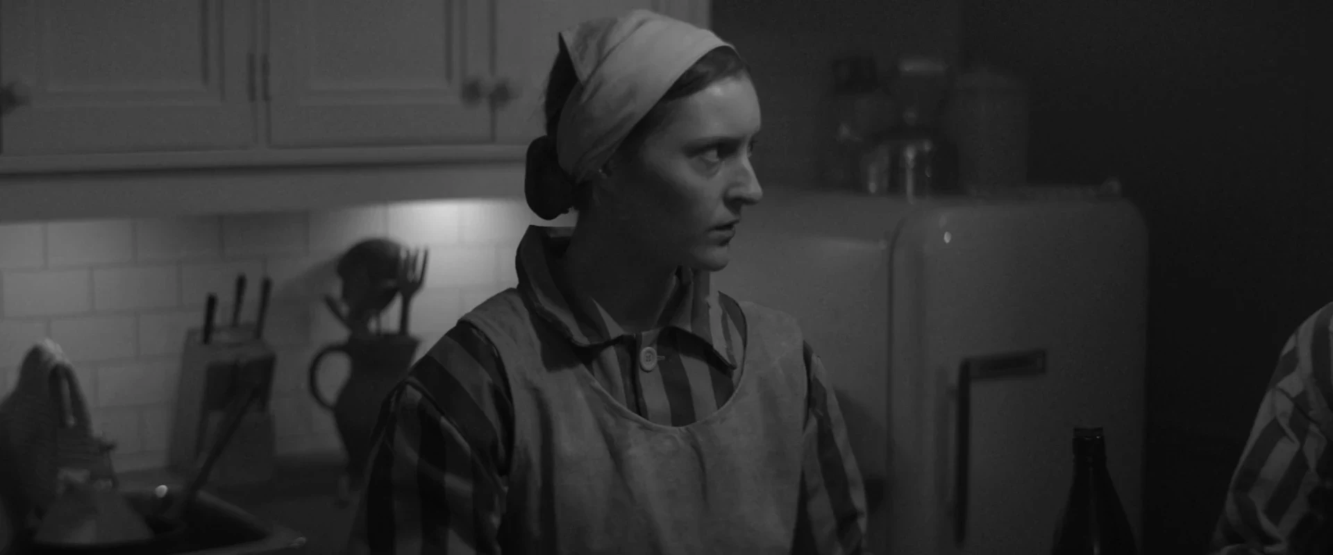 Bau: Artist at War 2025 Hindi Dual Audio WEB-DL 720p - 480p - 1080p screenshot 3