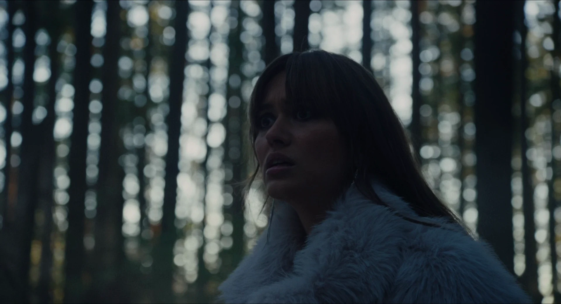 Keeper 2025 Hindi Dual Audio WEB-DL 720p - 480p - 1080p screenshot 3