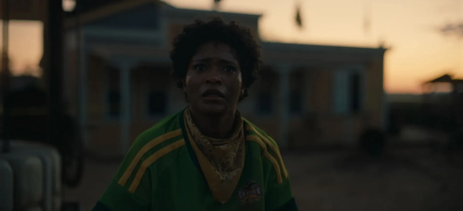 Nope 2022 Hindi - English Dual Audio WEB-DL 720p - 480p - 1080p screenshot 5